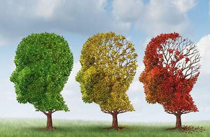Dementia Care Practitioner Course - June 17th, 2019